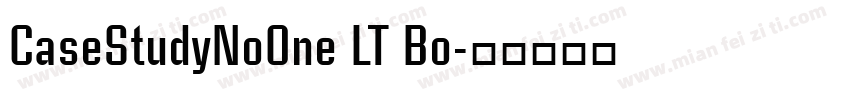 CaseStudyNoOne LT Bo字体转换